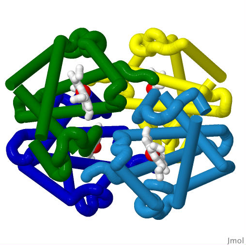 PDB-101: Learn: Videos: Oxygen Binding in Hemoglobin