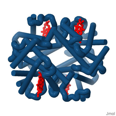 hemoglobin – 3D Molecular Designs