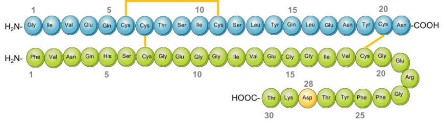 Pdb 101 Global Health Diabetes Mellitus Drugs Insulin Insulin Aspart