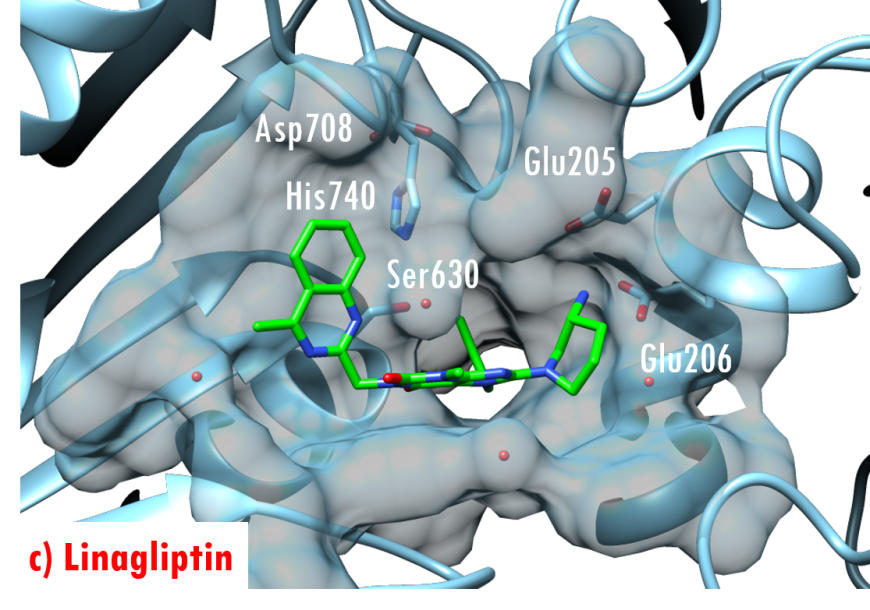 PDB-101: Global Health: Diabetes Mellitus: Drugs: DPP4 Inhibitor: DPP4