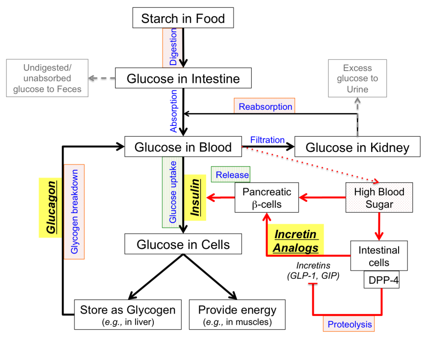 Chart Of Diabetic Medications Classes