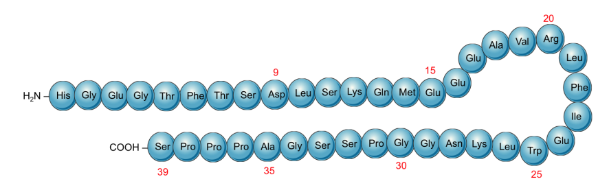 kamagra vs viagra