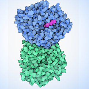 Mol* tutorial for creating images in the Molecule of the Month style