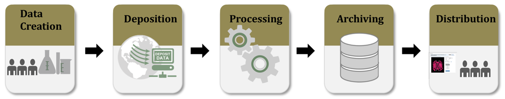 New Data Archiving Curriculum