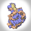 PDB-101: Learn: Videos: Oxygen Binding in Hemoglobin