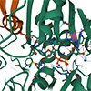 PDB-101: Learn: Videos: Oxygen Binding in Hemoglobin