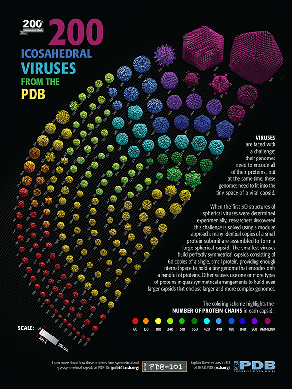 protein data bank poster