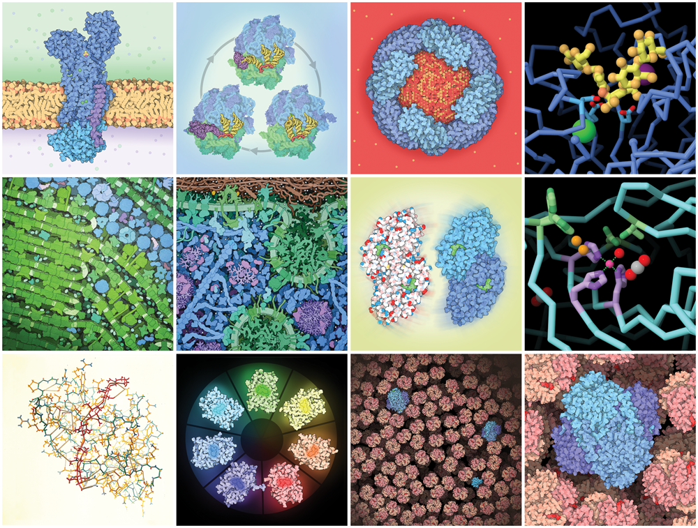 Images from the 2020 PDB-101 Calendar