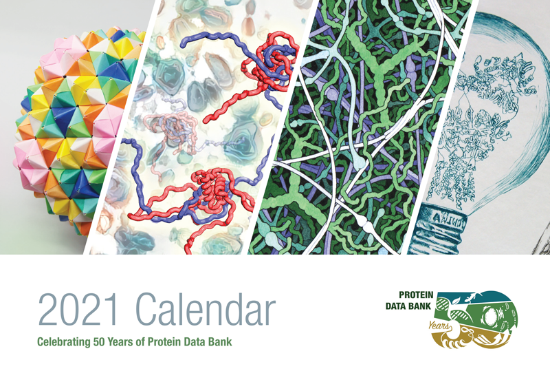 Cover of the 2021 calendar