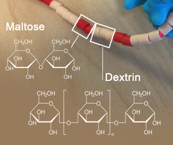 Alpha-amylase model