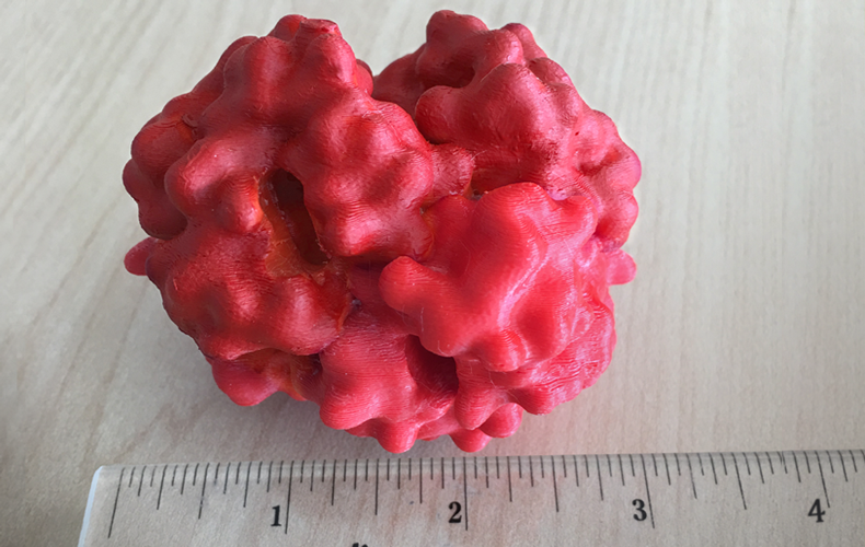 Hemoglobin Model Size