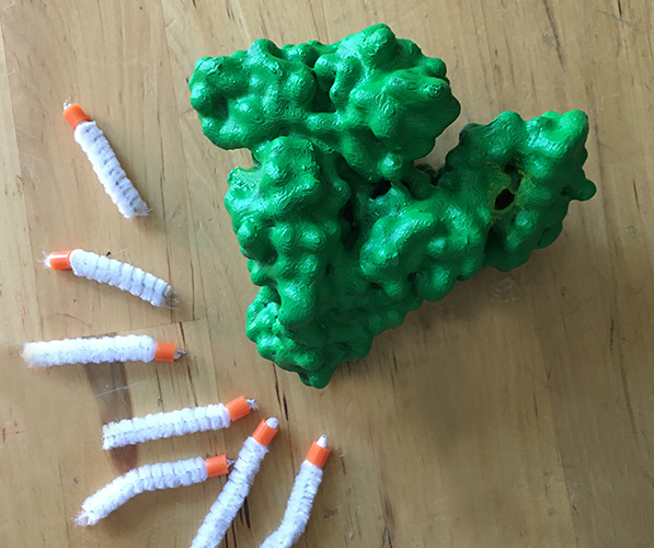 Serum albumin model with small molecules modeled out of melty beads and pipe cleaners