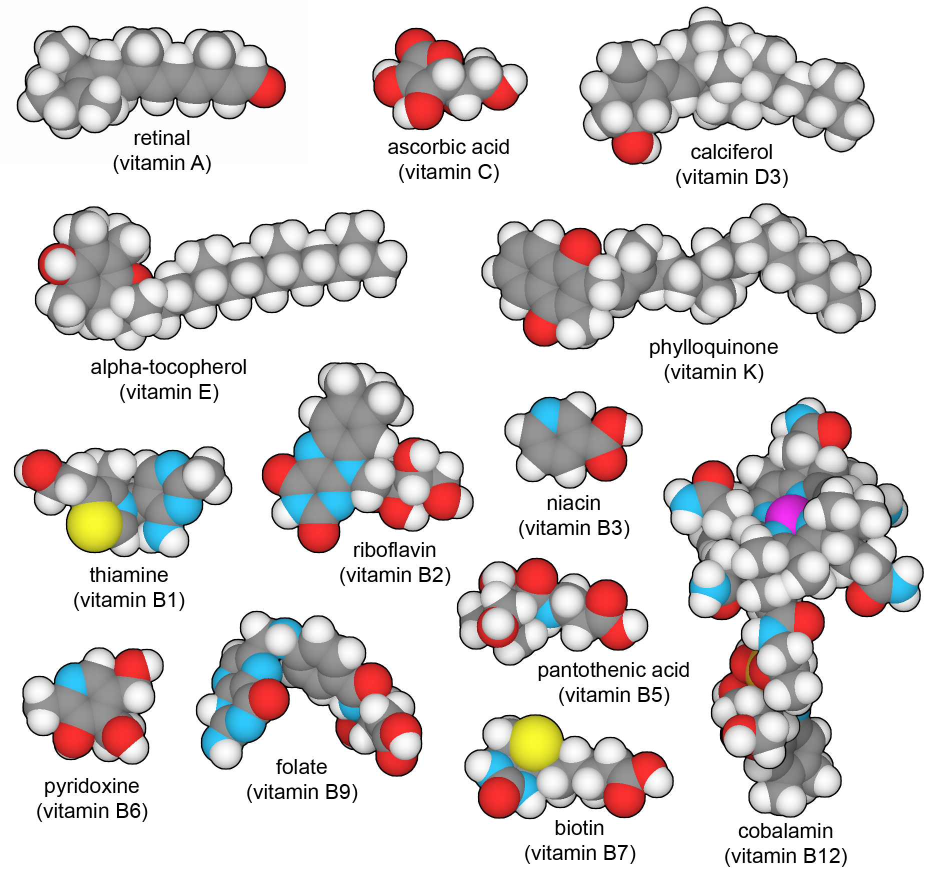 <I>Thirteen vitamins that are essential in the human diet. You can explore these structures in PDB ligand IDs RET (A), VIB (B1), RBF (B2), NIO (B3), PAU (B5), UEG (B6), BTN (B7), FOL (B9), B12 (B12), ASC (C), VD3 (D), VIV (E), and PQN (K).</I>