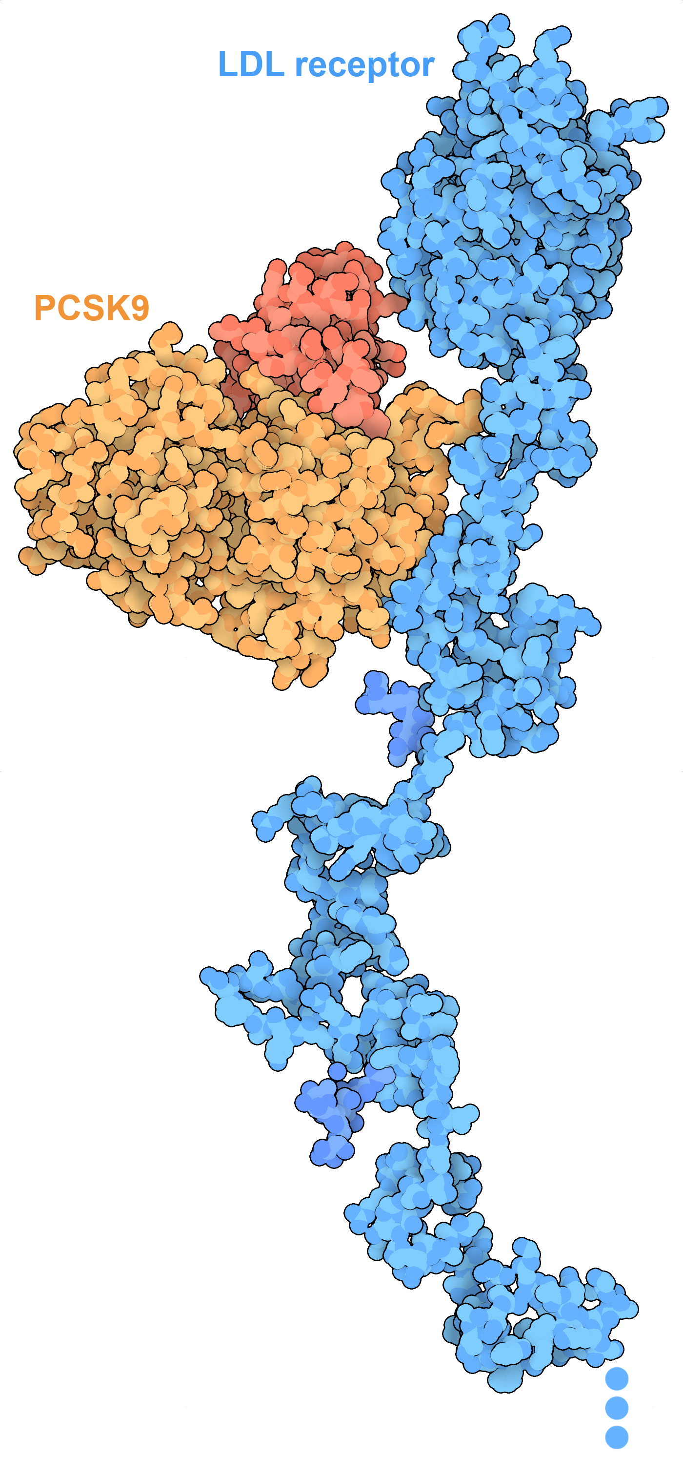 Telomerase from PDB entry 6d6v