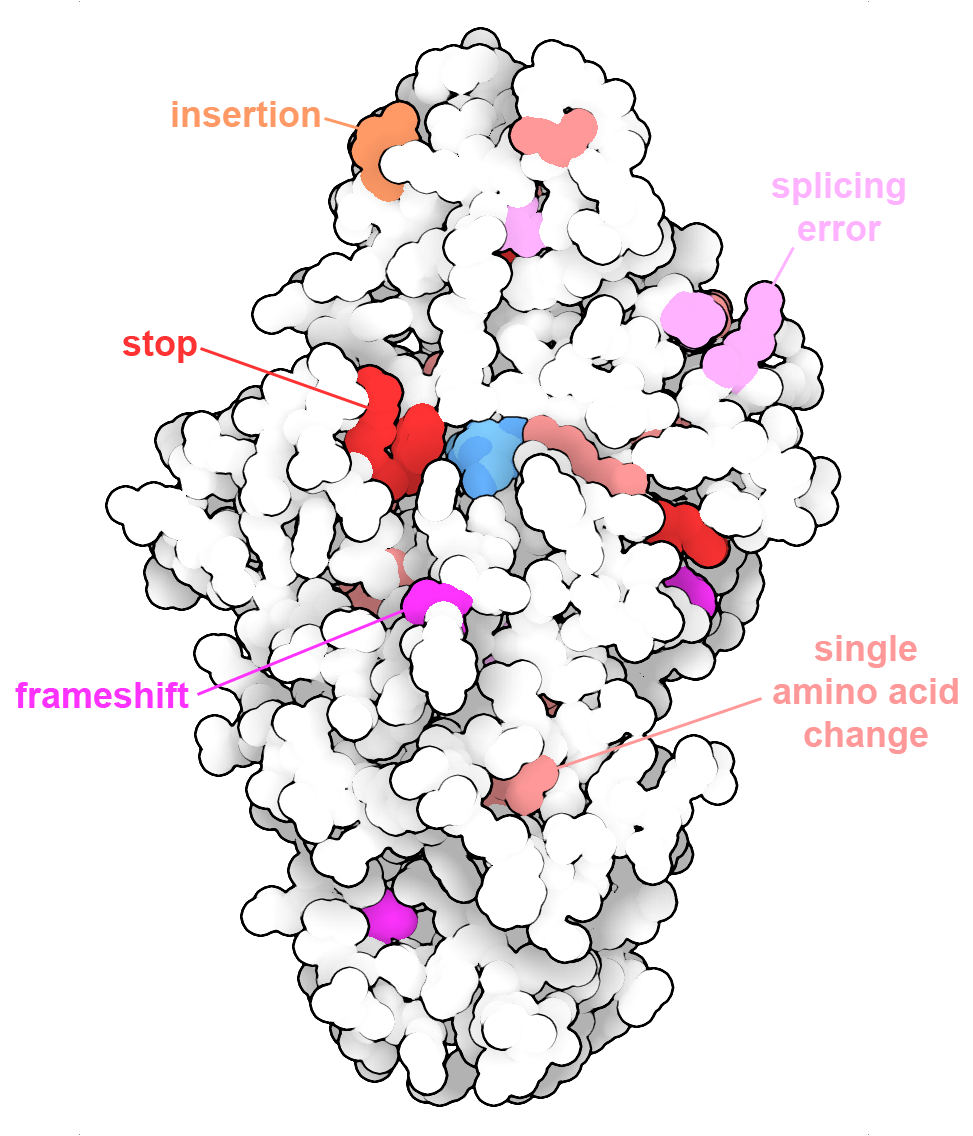 Close-up of the active site of the cyclin-dependent kinase CDK6 from PDB entry 5l2i