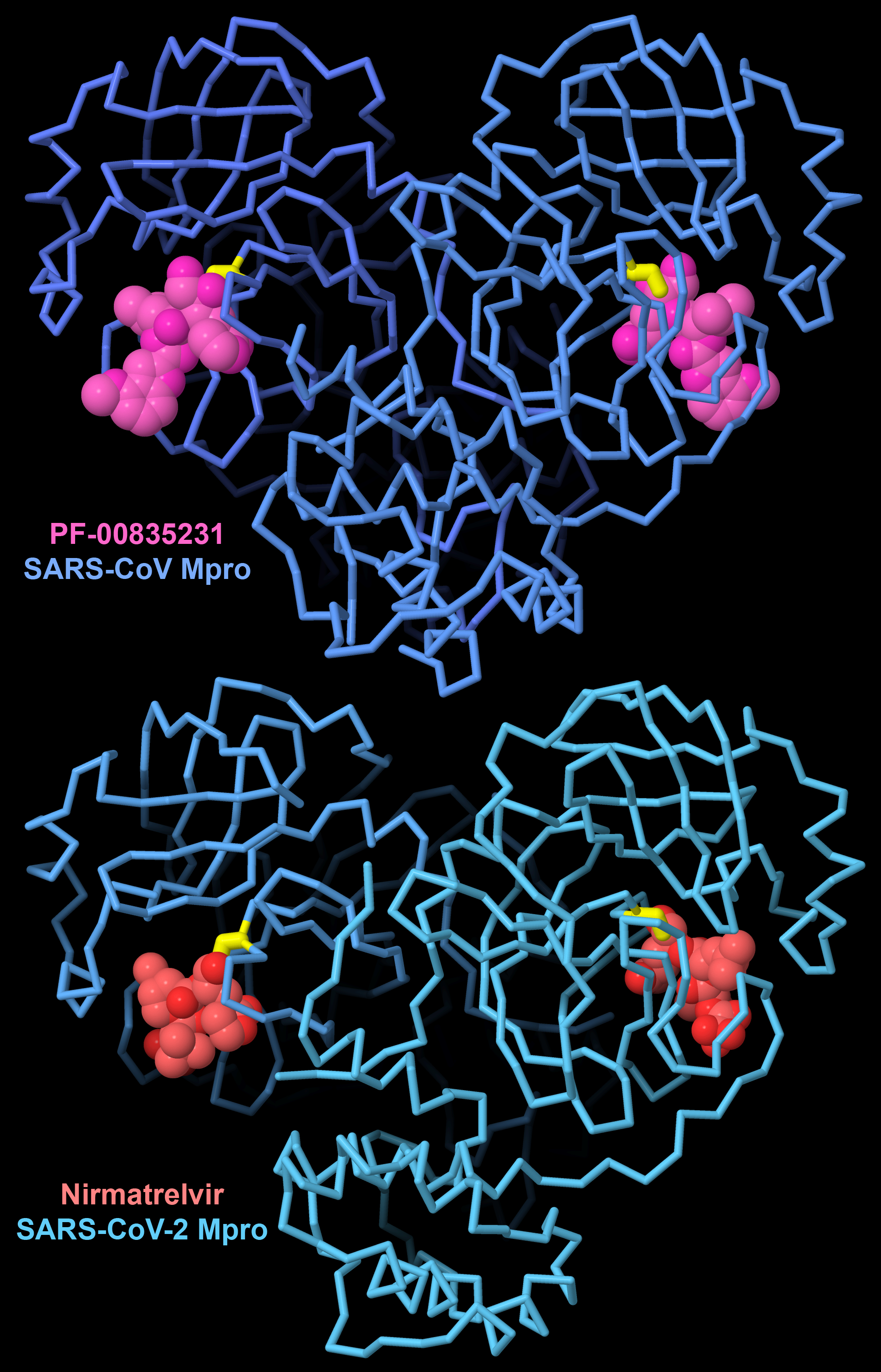 Structural biology is essential for discovery of new antiviral drugs