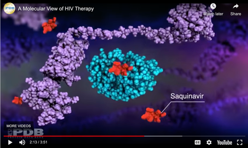 Screenshot from Molecular View of HIV Therapy