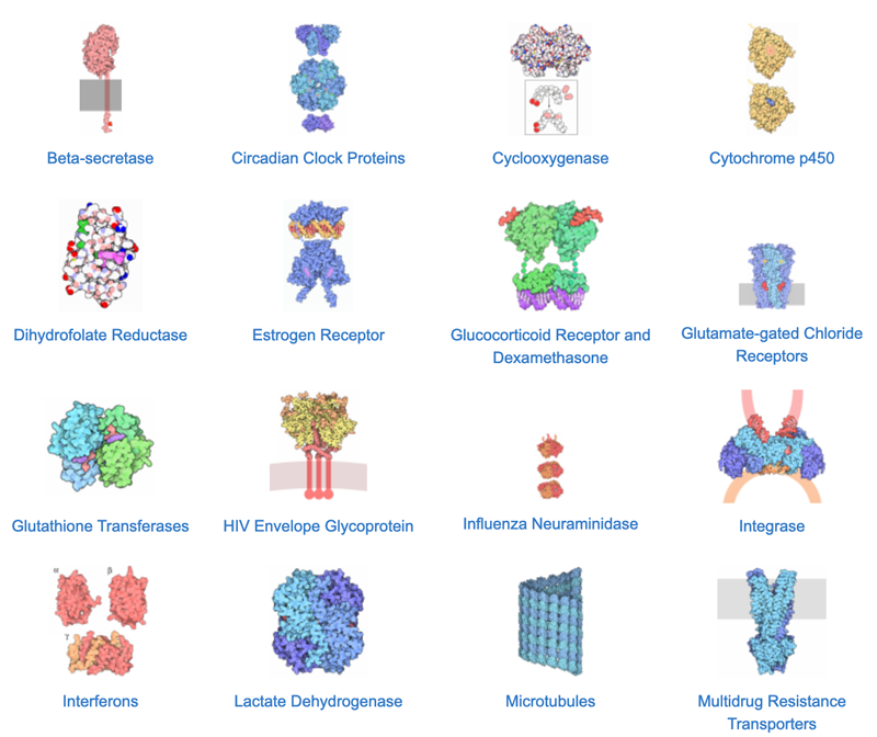 Drug action browser on PDB-101