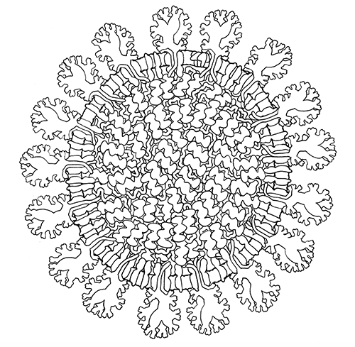 PDB-101: Learn: Coloring Books: Coloring Coronavirus