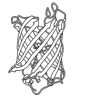 Download Pdb 101 Learn Coloring Books Coloring Molecular Machinery