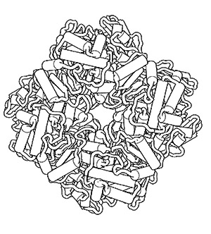 PDB-101: Learn: Coloring Books: Coloring Molecular Machinery