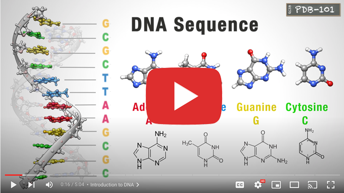 dna research paper