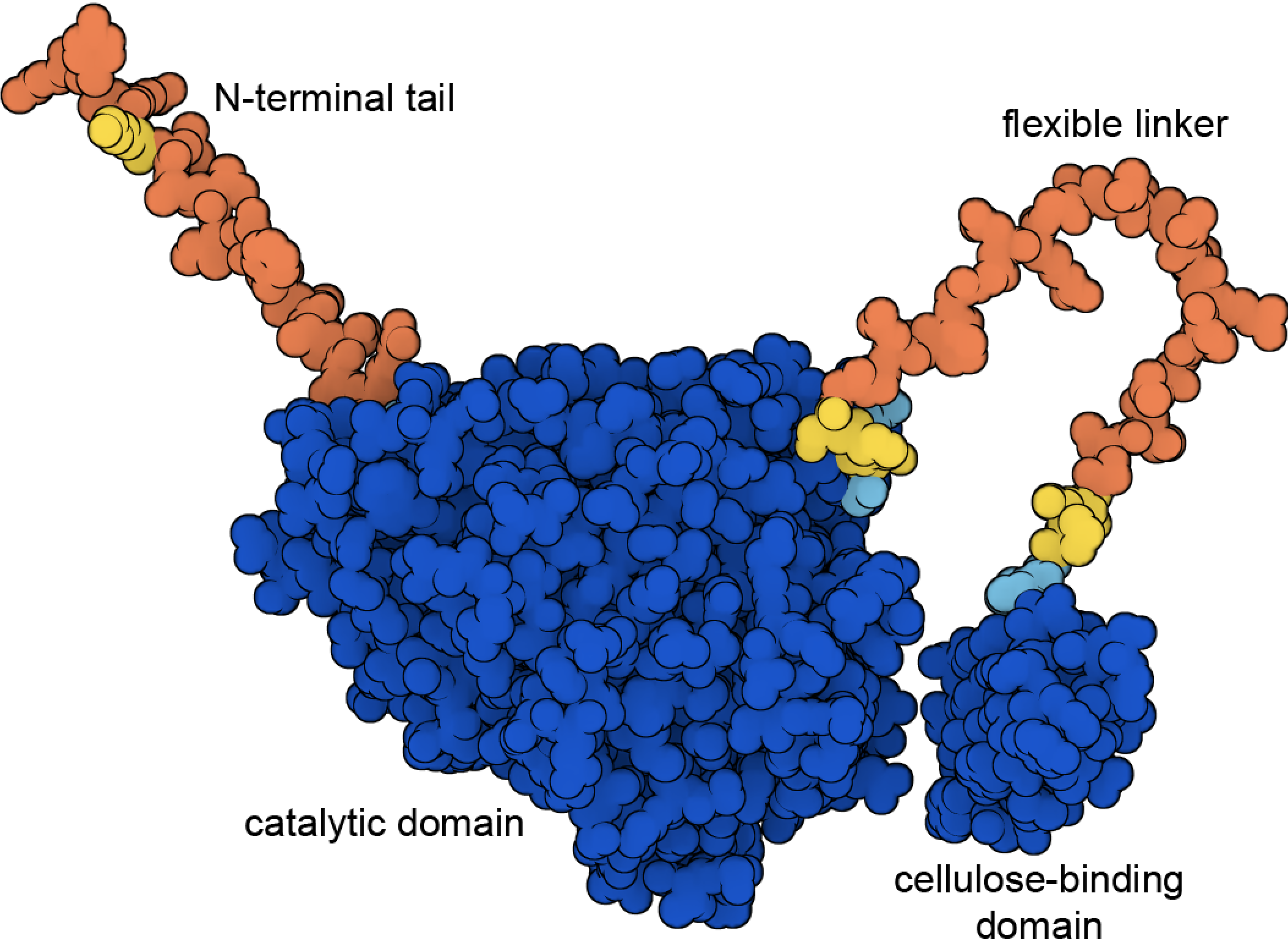 PDB-101: Learn: Videos: Oxygen Binding in Hemoglobin