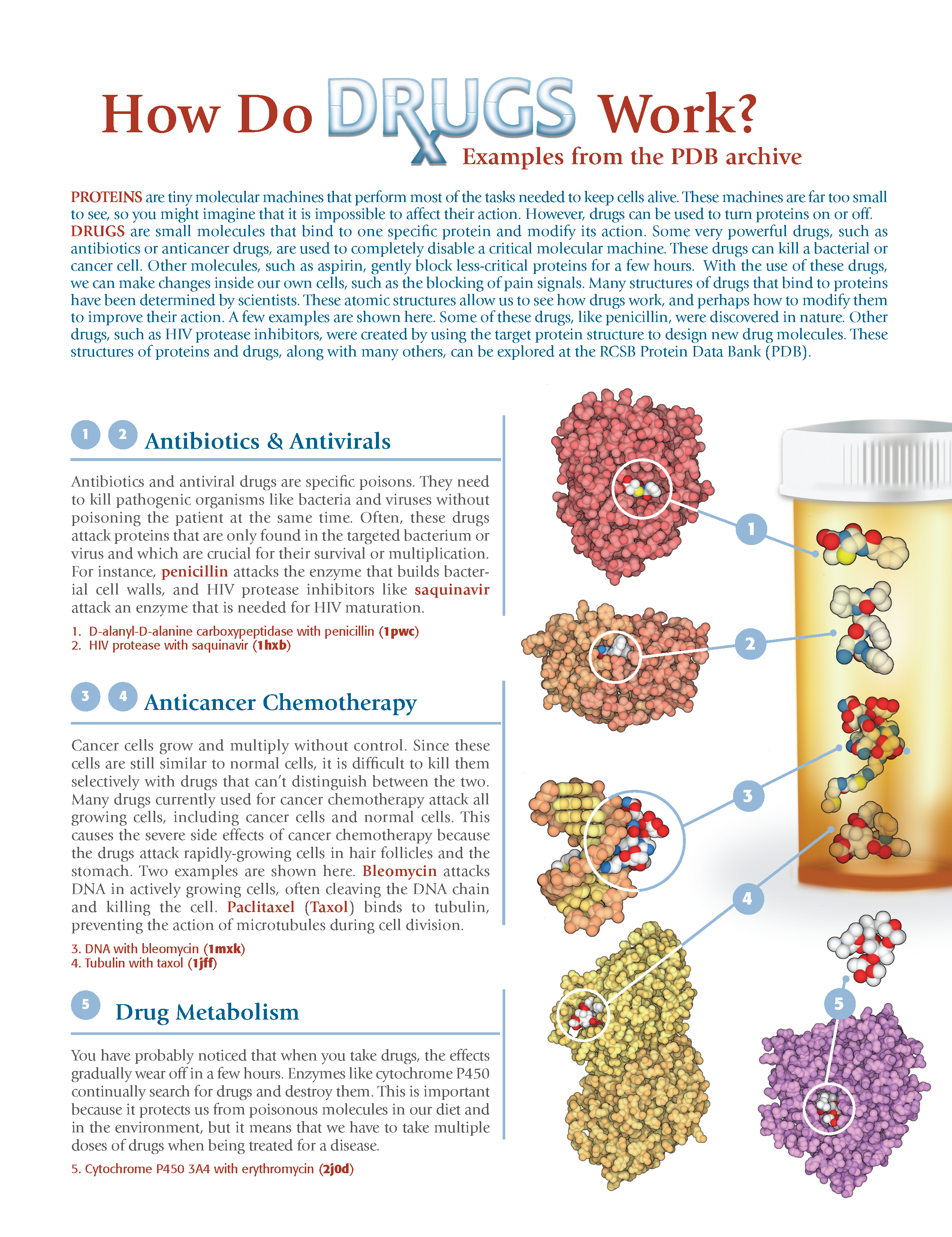 PDF) Active Learning Using Protein Data Bank (PDB) Biochemical