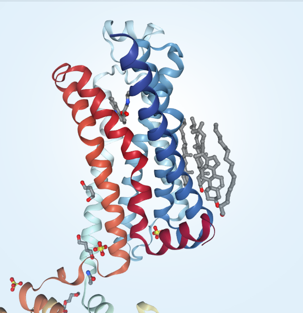 screenshot of 3D session of PDB Structure 1F88