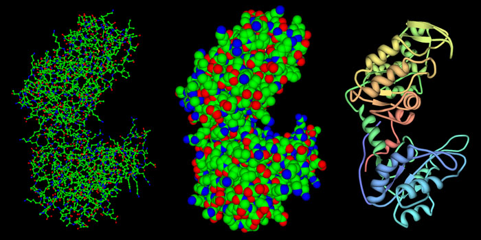 3pgk-representations.jpg