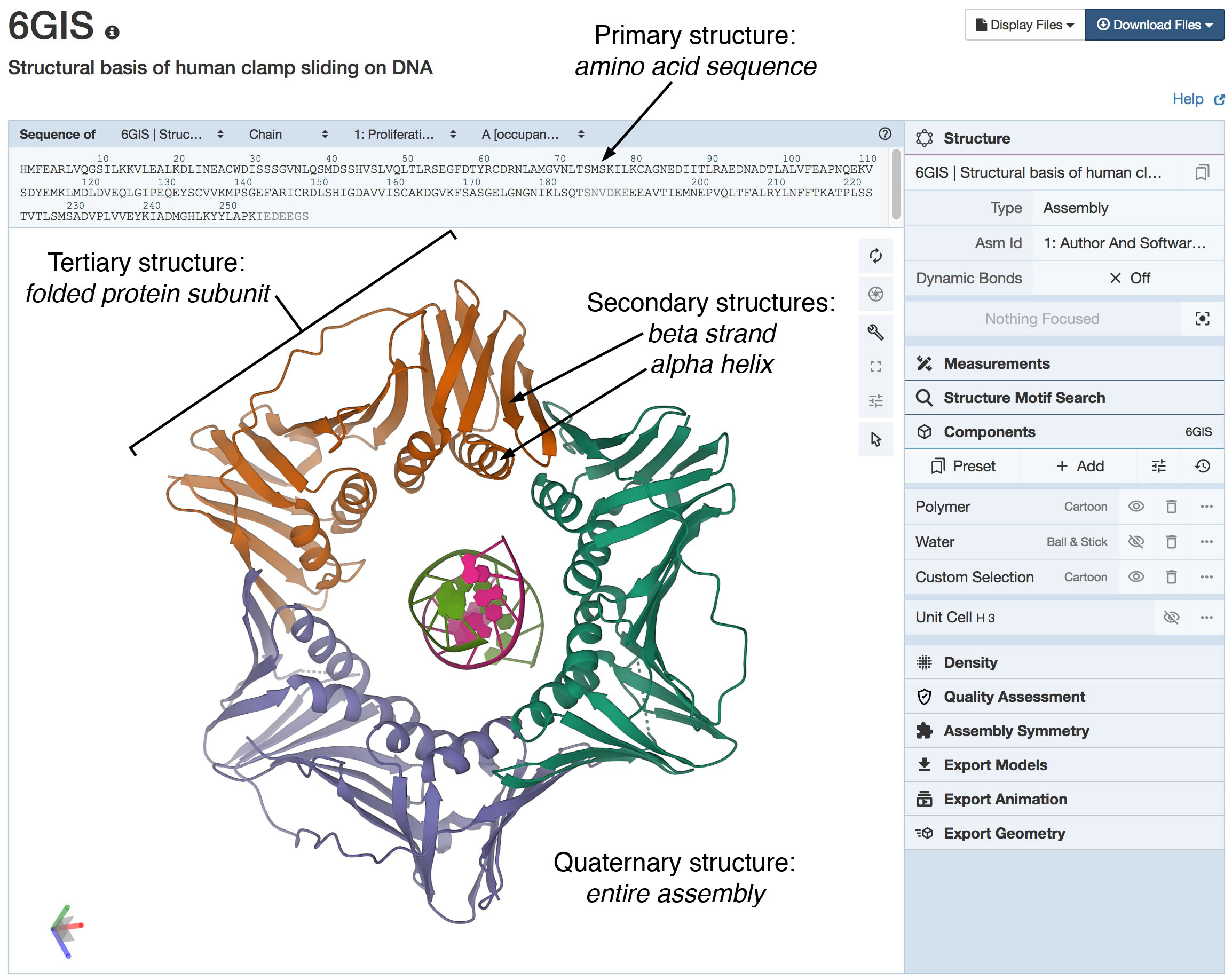 The three-dimensional structure of a protein.-helices are colored