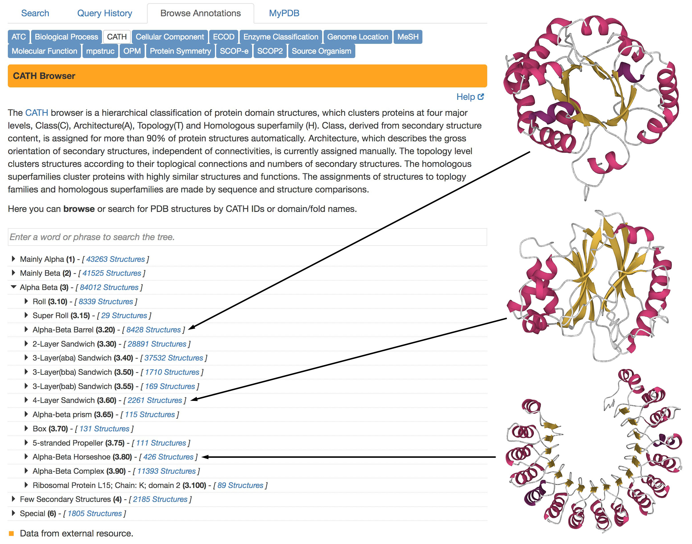 CATH classification of protein folding patterns