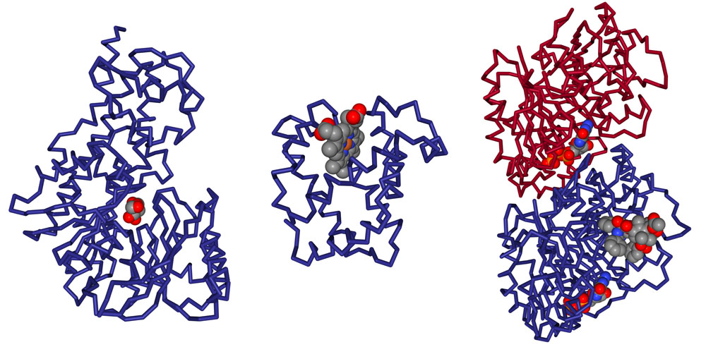 PDB-101: Learn: Guide to Understanding PDB Data: Small Molecule