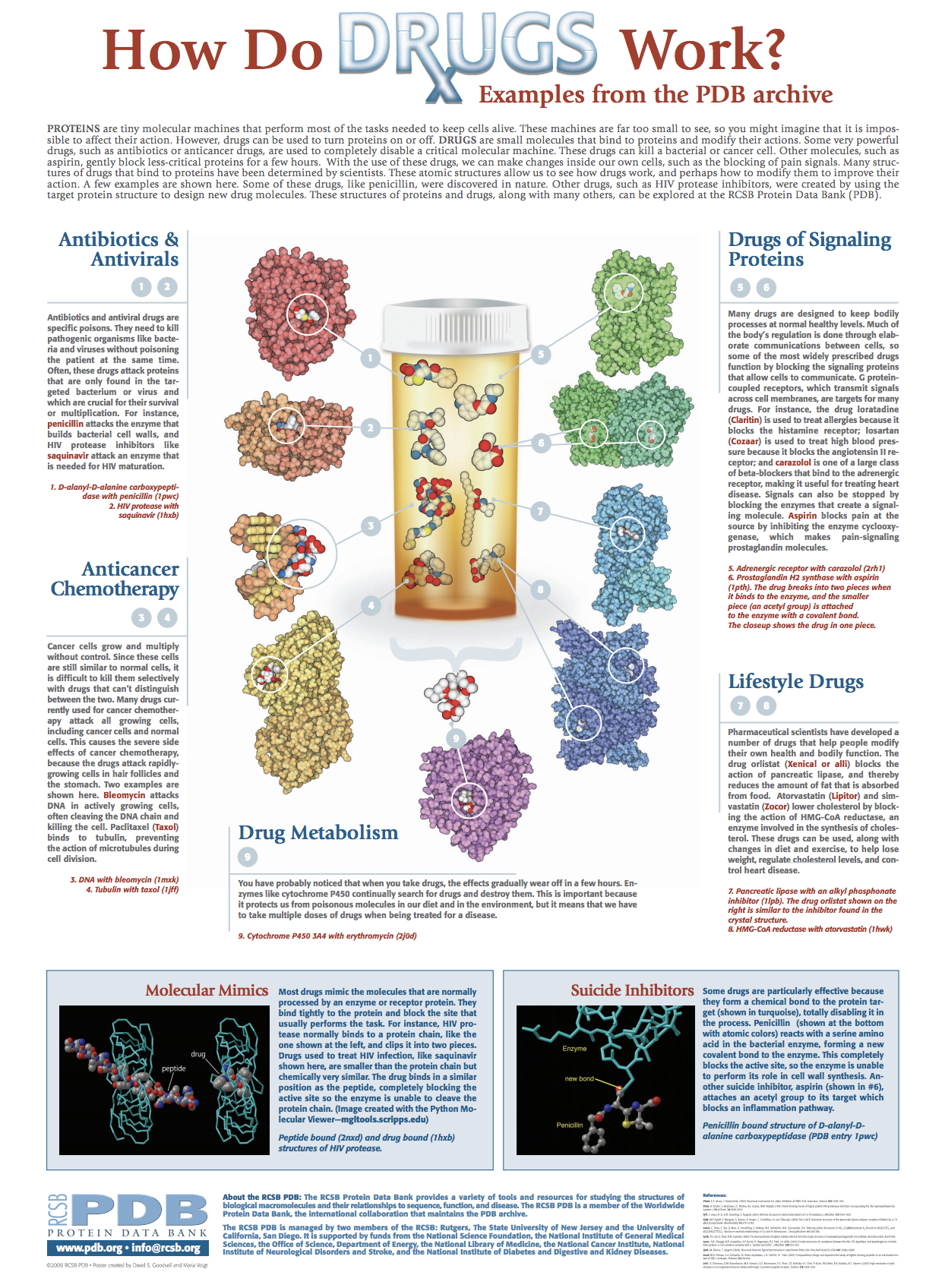 <I>Drugs are small molecules that bind to one specific protein and modify its action. Some very powerful drugs, such as antibiotics or anticancer drugs, are used to completely disable a critical molecular machine. These drugs can kill a bacterial or cancer cell. Other molecules, such as aspirin, gently block less-critical proteins for a few hours. With the use of these drugs, we can make changes inside our own cells, such as the blocking of pain signals. Many structures of drugs that bind to proteins have been determined by scientists. These atomic structures allow us to see how drugs work, and perhaps how to modify them to improve their action. A few examples are shown here. Some of these drugs, like penicillin, were discovered in nature. Other drugs, such as HIV protease inhibitors, were created by using the target protein structure to design new drug molecules. These structures of proteins and drugs, along with many others, can be explored at RCSB PDB.
 </I>