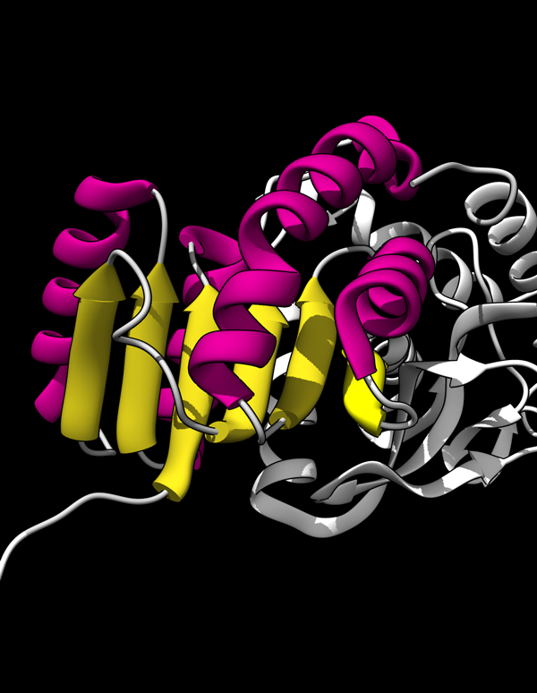 3D structure of Rossman fold from PSB structure 1ldm