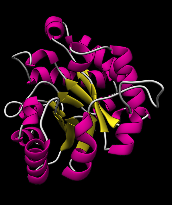 3D structure of TIM barrel from PSB structure 8tim