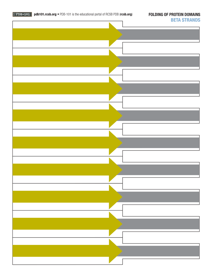 Beta strands template