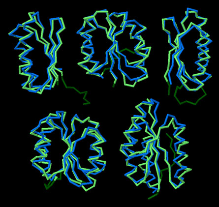 PDB-101: Learn: Structural Biology Highlights: Designer Proteins