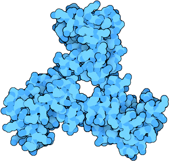Matrix Protein