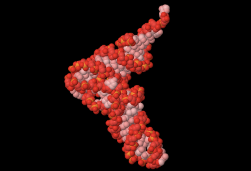 trna structure 3d