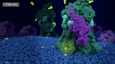 CGMP phosphodiesterase with G alpha