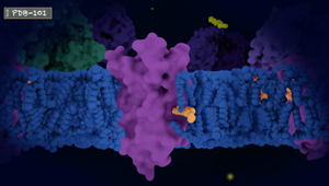 Opsin and Retinal