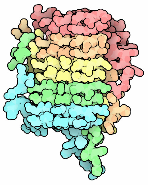 Amyloid complex of prion protein HET-s.