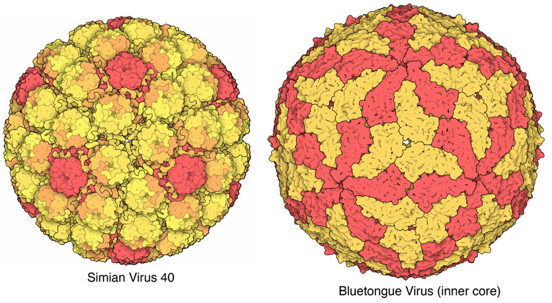 Exceptions to quasisymmetry, colored similarly to the first illustration.