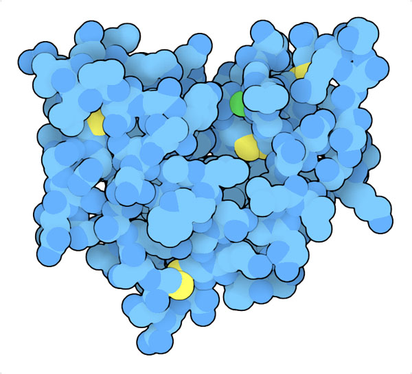 Pancreatic phospholipase A2, with calcium in green and cysteine sulfur atoms in yellow.