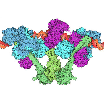 RCSB PDB: Homepage