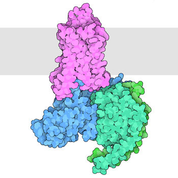 RCSB PDB Molecule of the Month