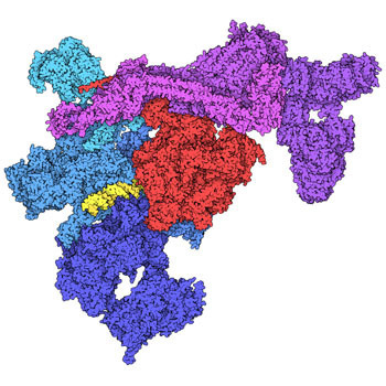 Molecules, Free Full-Text