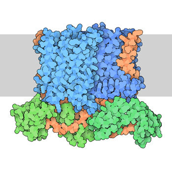 RCSB PDB Molecule of the Month