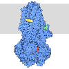 CFTR and Cystic Fibrosis